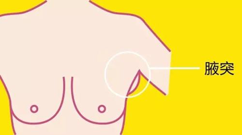 副乳是怎么形成的？|副乳对健康存在威胁吗？