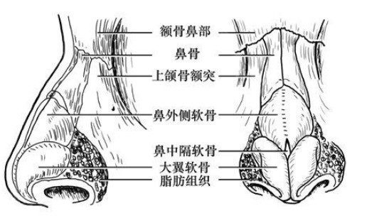 隆鼻失败怎么办？|还能修复吗？