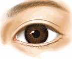 南京艺星介绍开内眼角效果有四个阶段，双眼皮价格附上。