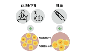 成都萃颜堂医疗解答问题腰腹部吸脂医院风险都有哪些?吸脂手术风