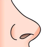 佛山华美隆鼻效果好不好？隆鼻案例见真章。隆鼻术护理事项