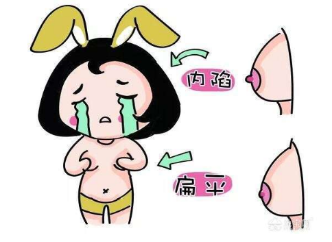 乳头正常20岁形状图片