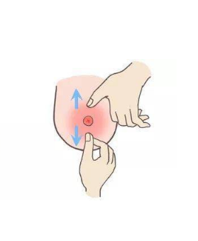 乳头缩小注意事项有哪些?乳头很小怎么办?乳头缩小2022价格