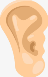 什么是耳朵缺损？耳廓整形手术后要注意哪些事项？