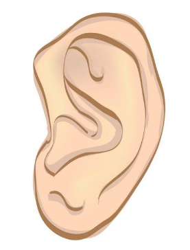 耳再造手术治疗方法有哪些？耳部价格表！在线私聊哟！